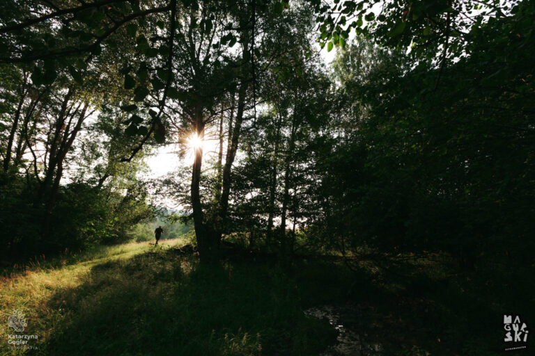 Bieg Magurski 2023 Biegy Katarzyna Gogler 344 (1) (1)